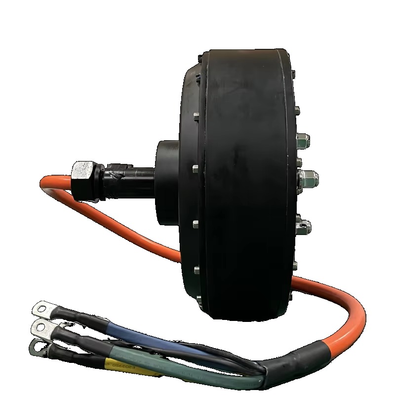 Dual QS 273 8000W 72V Electric - Qs Motor 273 8000W Hub Motor 评论和价格