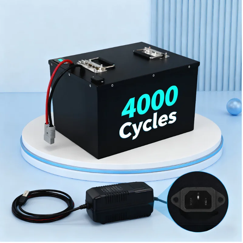 LIFEPO4 Battery Pack with BMS  - Lifepo4 72V 100Ah Battery Pack Ev 评论和价格